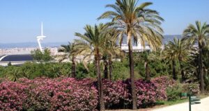 حديقة برشلونة النباتية